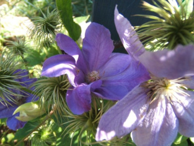 DSCF2302.JPG