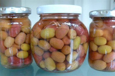 Kornelkirschen.09.2009.00.JPG