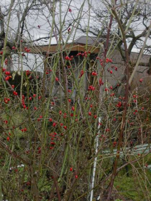 Bild_024.jpg