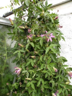 DSCN3111.JPG