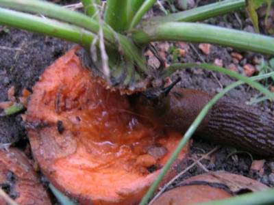 K640_IMG_1031.JPG