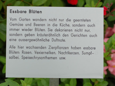 Essbare_Bluten__53439_92.jpg