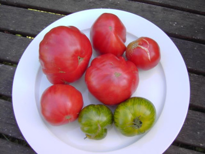 PICT3577-1.JPG