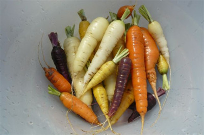 06.09.2009.604.JPG