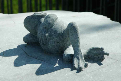 Frosch_Sprimont_1_30-08-2009.jpg