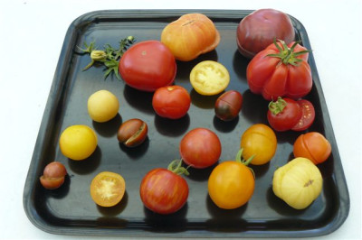 07.09.2009.01.JPG