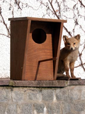 eulenkasten.jpg