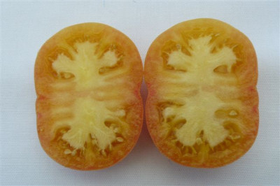 Ananastomate_07.09.2009.60.JPG