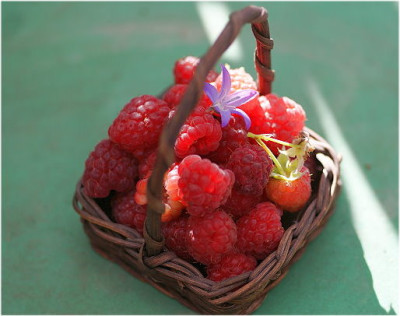 ...beeren.JPG