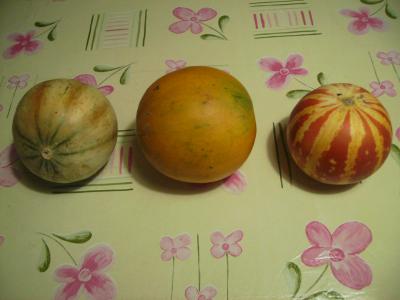 Melonenparade.jpg