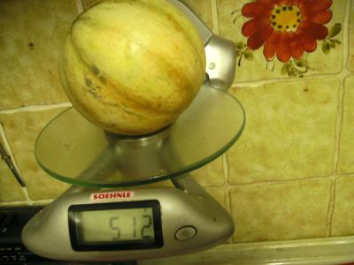 Melonsavor.jpg