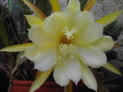 PICT3028-1.JPG