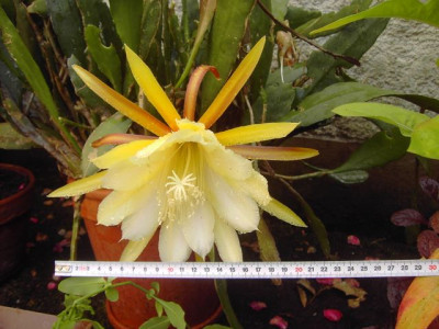 PICT3021.JPG