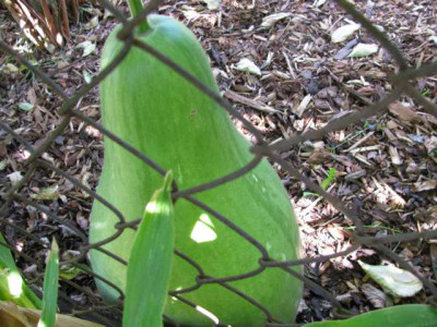 K640_IMG_1052.JPG