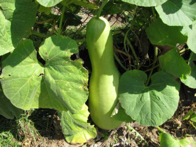 K640_IMG_1053.JPG