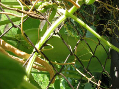K640_IMG_1054.JPG