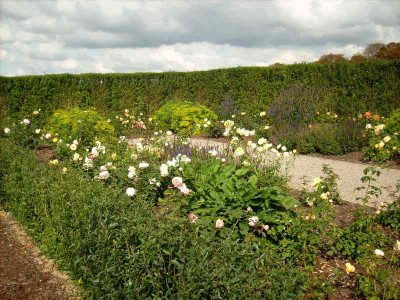 Panorama_3.jpg