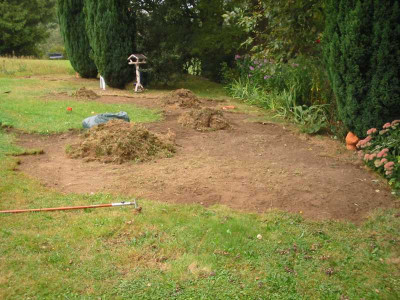 Wiese_neu_1.jpg