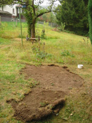 Wiese_neu_2.jpg