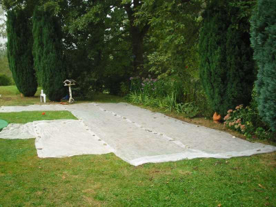 Wiese_neu_4.jpg