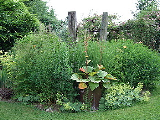 Bild_152.jpg