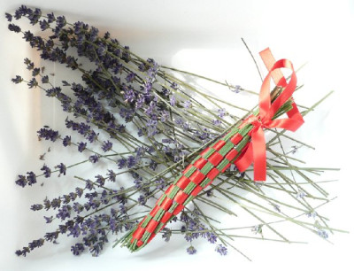 0_lavendel.jpg