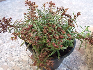 Bild_028.jpg