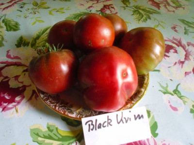 Black_Krim_08_5-1.jpg