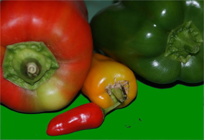 klein-chili.JPG