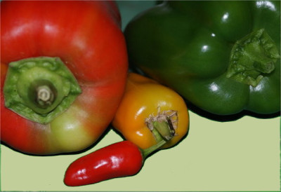 klein-chili_1.JPG