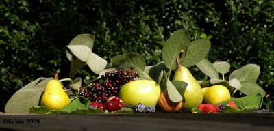 obst_sonnig_2009-09.jpg