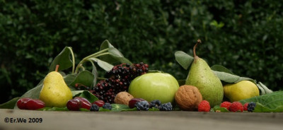 obst_diffus_2009-09.jpg