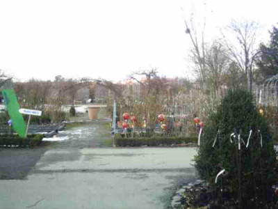 17_Rosarium.JPG