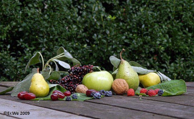 obst_hoeher_oben_2009-09.jpg