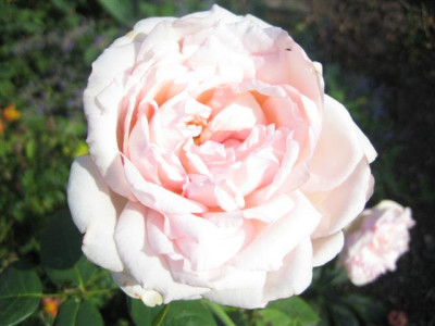 oleron_009_Small.jpg