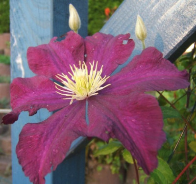 DSCF3366.JPG