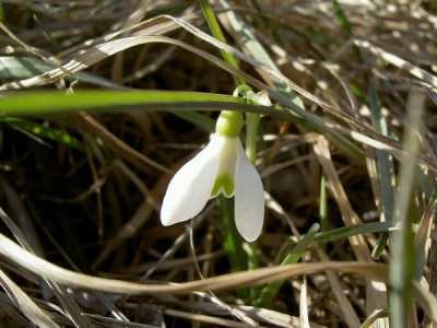 PICT3546.JPG