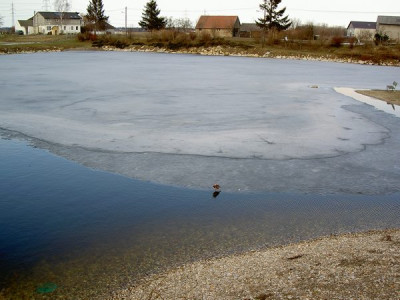 PICT3588.JPG