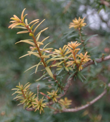 DSCF0770-web.jpg