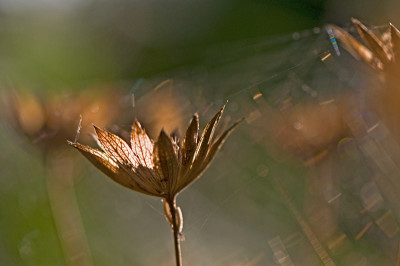 Herbst-1k-Sep2209.jpg