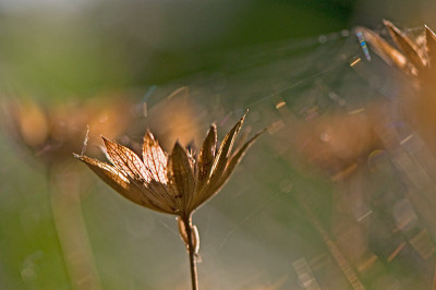 Herbst-1-heller-Sep2209.jpg