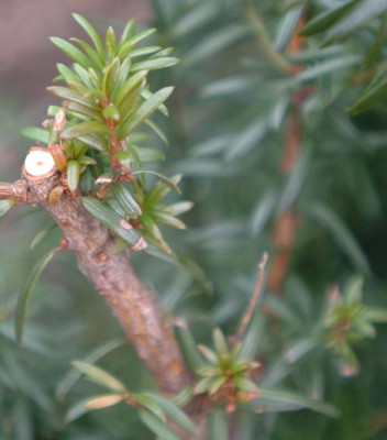 DSCF0771-web.jpg