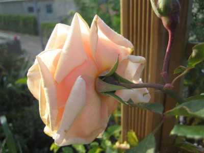 20-09-2009_002_Small.jpg