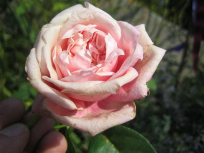 20-09-2009_017_Small.jpg