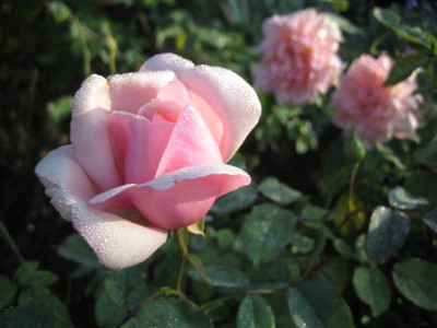 20-09-2009_004_Small.jpg