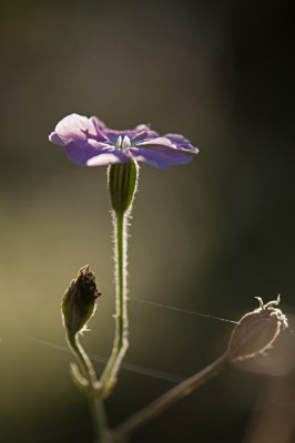 Herbst-4-Sep2209.jpg