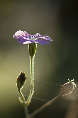 Herbst-5-Sep2209.jpg