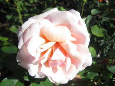 23-09-2009_003_Small.jpg