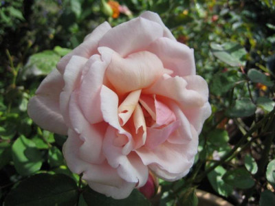 23-09-2009_005_Small.jpg