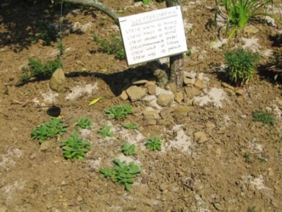 Herbsteindrucke_Sept.09_009.jpg